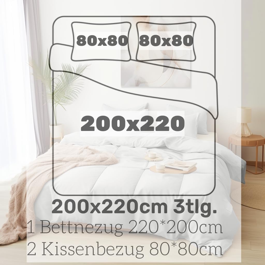AYSW Bettwäsche gebürstet Microfaser 1 Bettbezug 200x220cm + 2 Kopfkissenbezug 80x80cm mit Reissvers