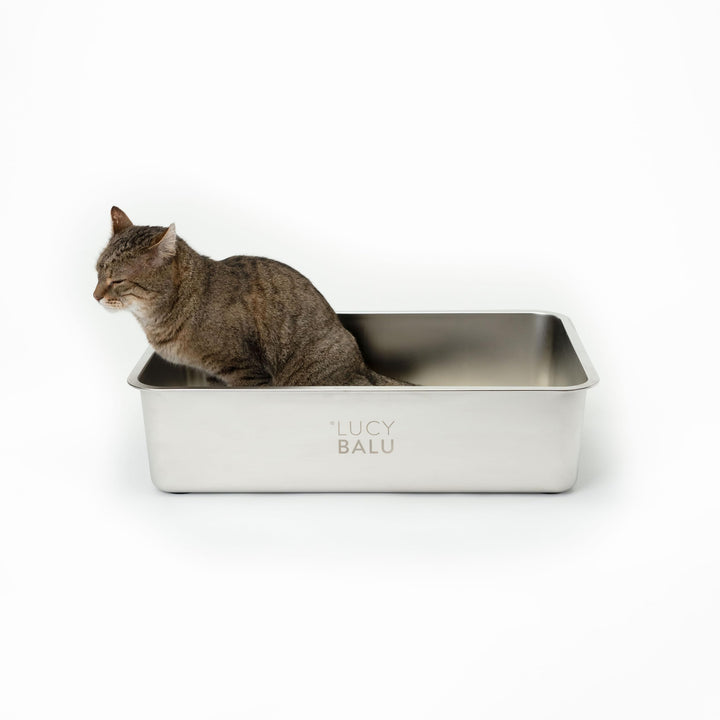 LucyBalu® STEELOO Edelstahl Katzenklo geruchsfrei | XXL-Katzentoilette aus Edelstahl | offenes Katze