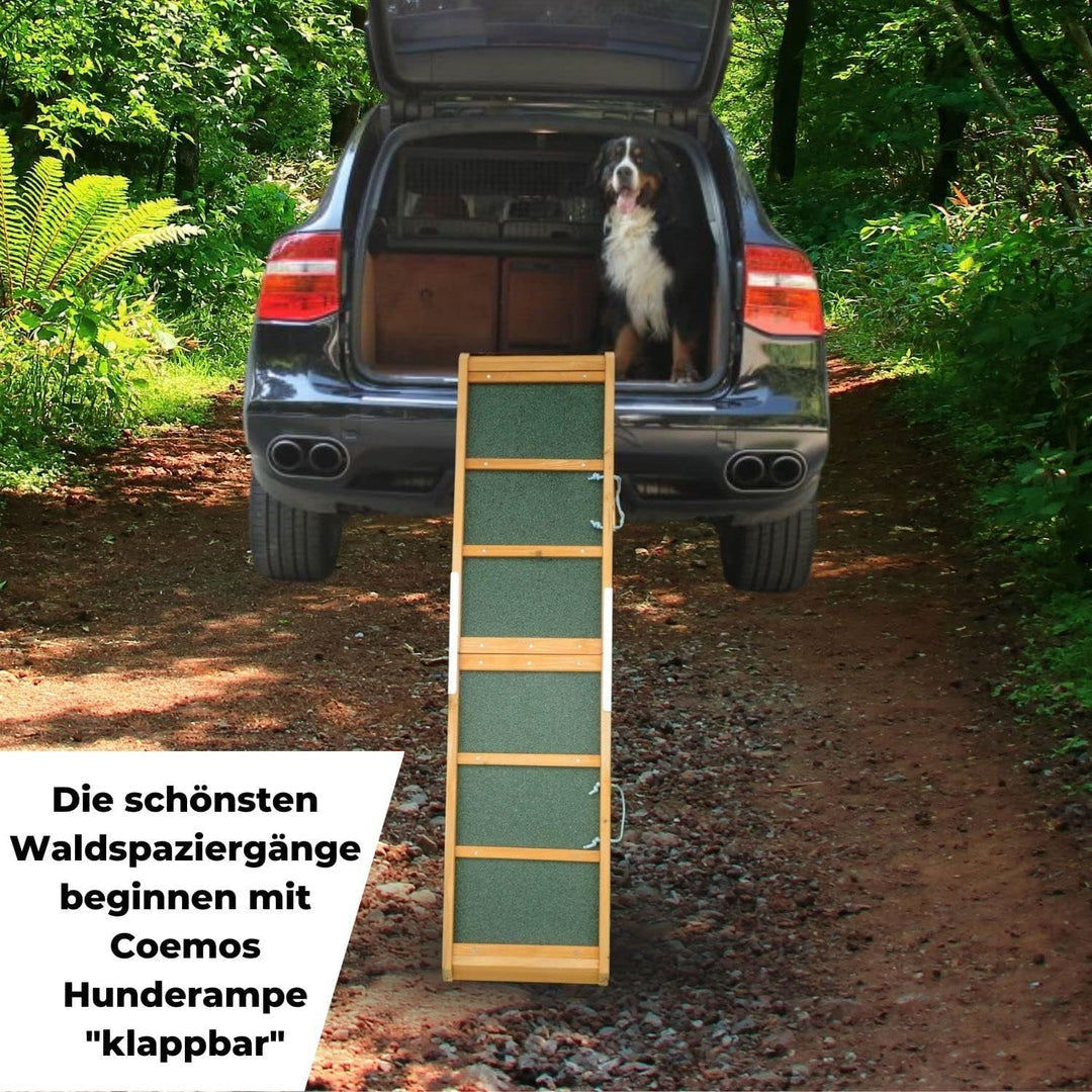 Klappbare Hunderampe, gelenkschonende Kofferraumrampe aus Holz, Auto Einstiegshilfe für Hunde, Katze
