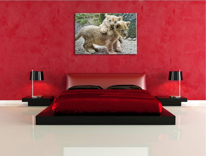 Pixxprint spielende Löwenjunge auf Leinwand, XXL riesige Bilder fertig gerahmt mit Keilrahmen, Kunst