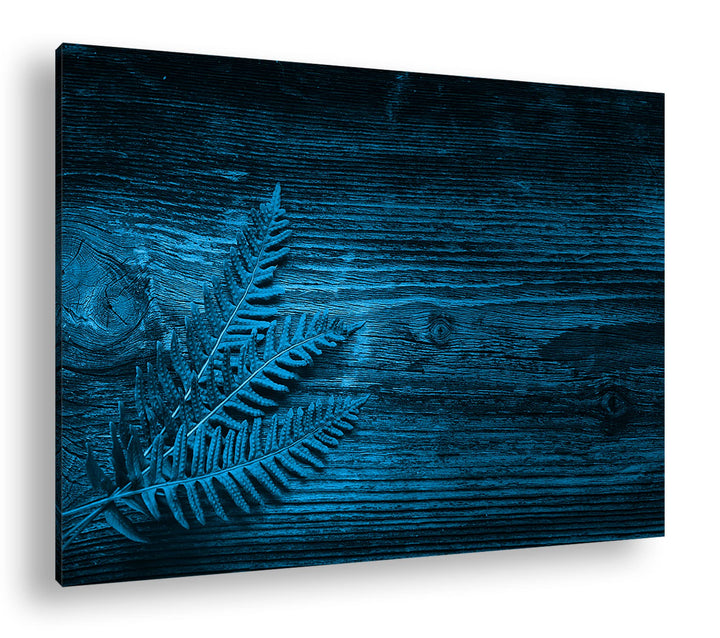 deyoli kleiner grüner Farn auf einer Holztischplatte Format 80x60 Effekt: Monocrome Blau als Leinwan