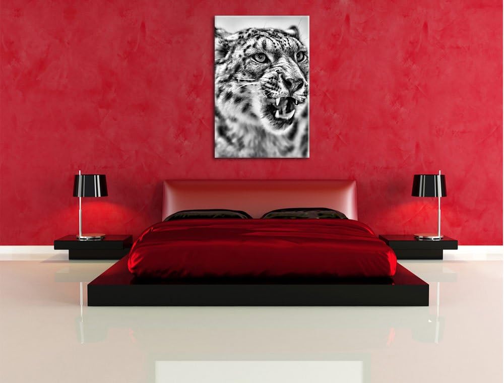 Pixxprint Schneeleopard zeigt Zähne als Leinwandbild/Grösse: 100x70 cm/Wandbild/Kunstdruck/fertig be