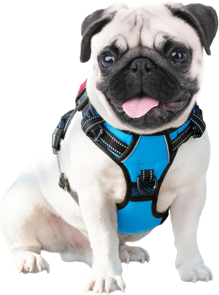 PHOEPET Hundegeschirr ohne Zug für kleine Hunde Reflektierende Weste mit verstellbarem Clip vorne mi