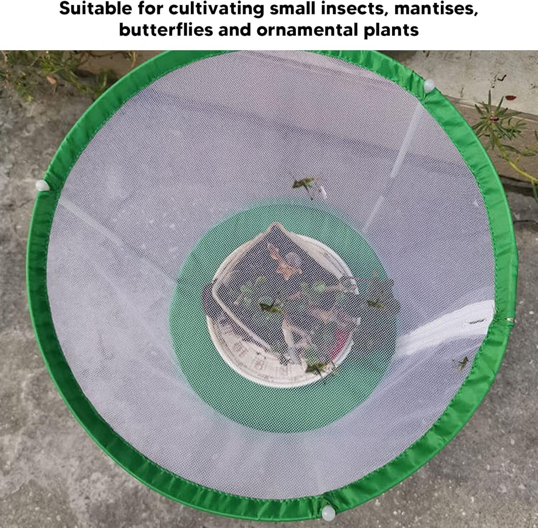 CHICIRIS Butterfly Habitat, Transparenter Monarch-Schmetterlings-Insektenkäfig, Zusammenklappbares Z