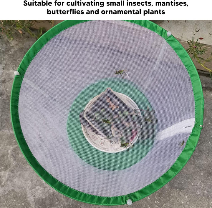 CHICIRIS Butterfly Habitat, Transparenter Monarch-Schmetterlings-Insektenkäfig, Zusammenklappbares Z
