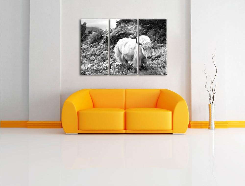 Pixxprint Schönes Yak Himalaya Kunst B&W / 3-Teilig/Gesamtmass 120cm Leinwandbild bespannt auf Holzr