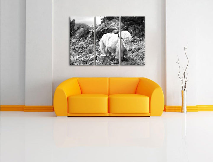 Pixxprint Schönes Yak Himalaya Kunst B&W / 3-Teilig/Gesamtmass 120cm Leinwandbild bespannt auf Holzr