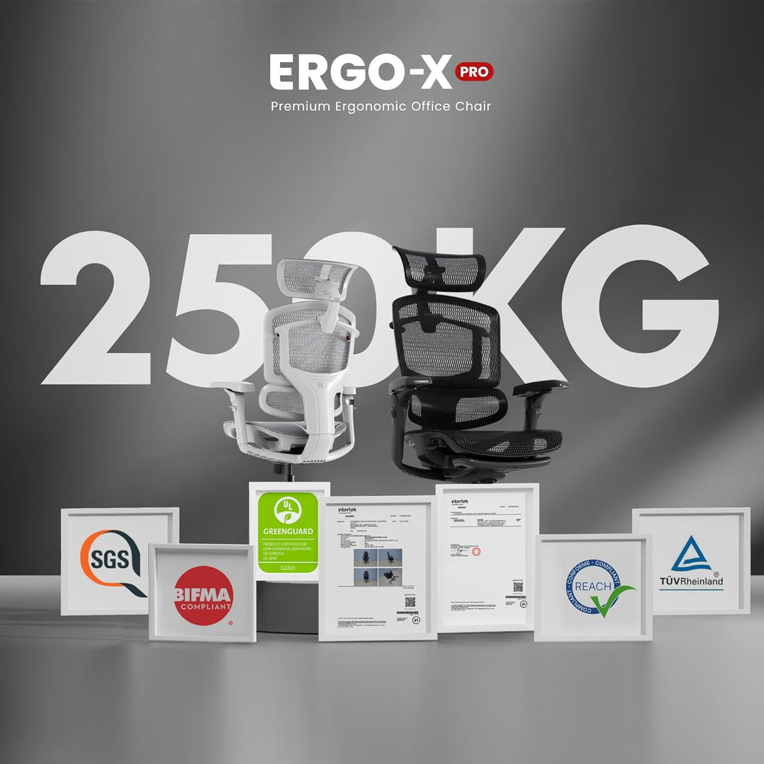 FLEXISPOT ErgoX Pro Ergonomischer Bürostuhl mit ausziehbarer Fussstütze, 12-stufiger Höhenverstellun