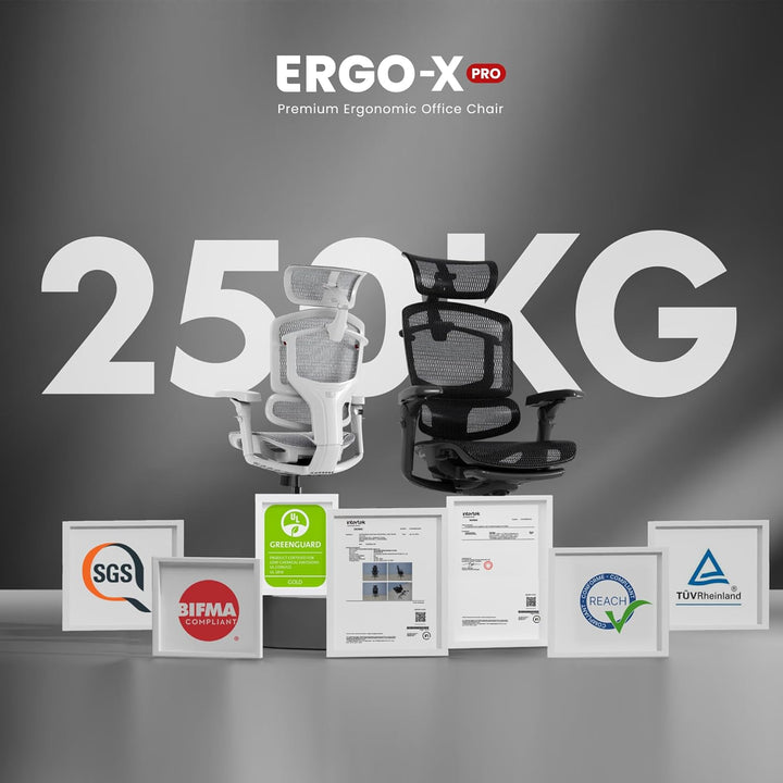 FLEXISPOT ErgoX Pro Ergonomischer Bürostuhl mit ausziehbarer Fussstütze, 12-stufiger Höhenverstellun