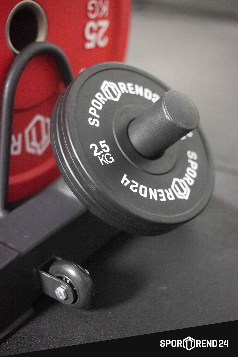 Sporttrend 24® Bumper Plate Rack bis 400 kg | Hantelscheibenständer Scheibenständer Hantelständer Ge