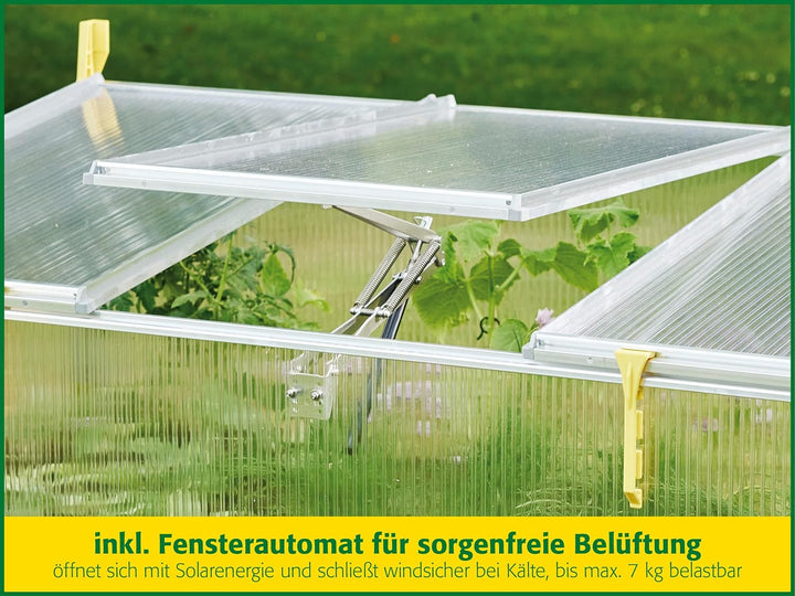 Juwel Frühbeet Biostar 1500 (Gewächshaus mit Fensterautomat, öffnet und schliesst selbstständig, Pfl