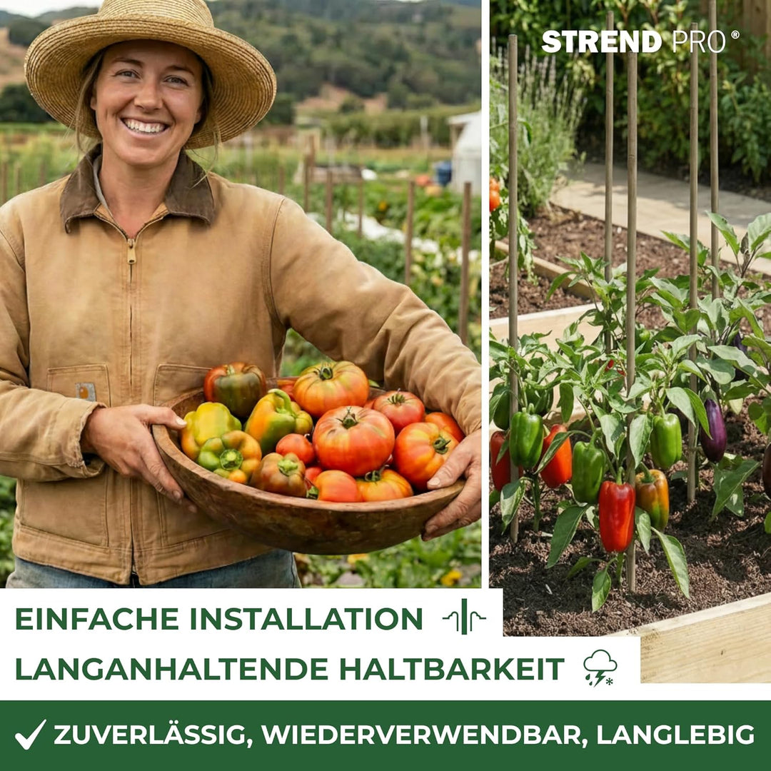 STREND PRO Bambusstäbe 45 cm - 10er Set | Ø 6-8 mm Natürliche Holzstäbe | Pflanzstäbe & Rankhilfe |