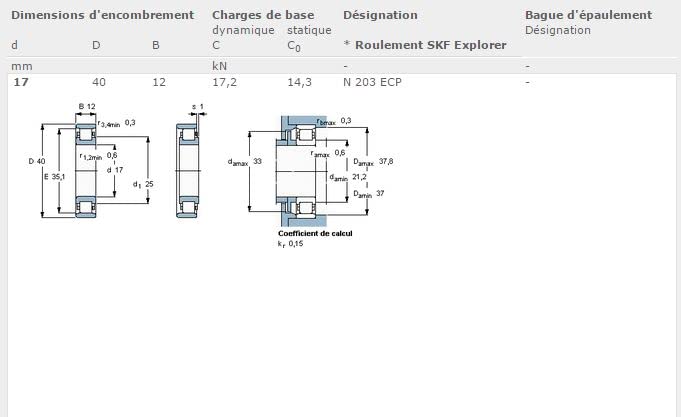 SKF N N 203 ECP Radialrollenlager, Zylinderförmig, 17 ID, Stahl