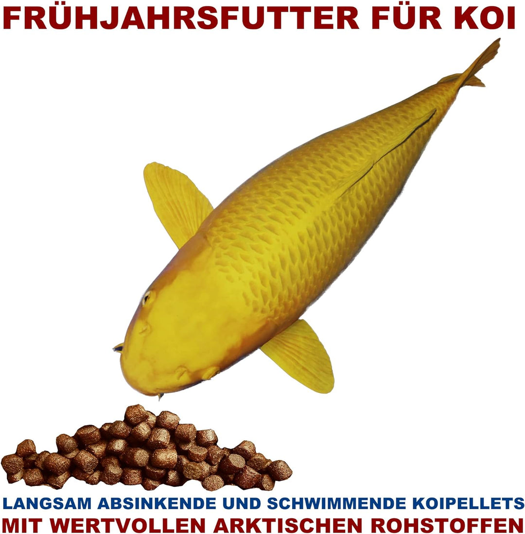 Lachsöl Koi und Teichfische kaltgepresst Omega 3 Öl Koi Futterzusatz deutsche Spitzenqualität Energi