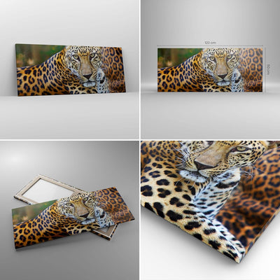 ARTTOR Wandbilder Dekoration Wohnzimmer Leopardpanther Katze Tier Savanne Bilder auf Leinwand 120x50