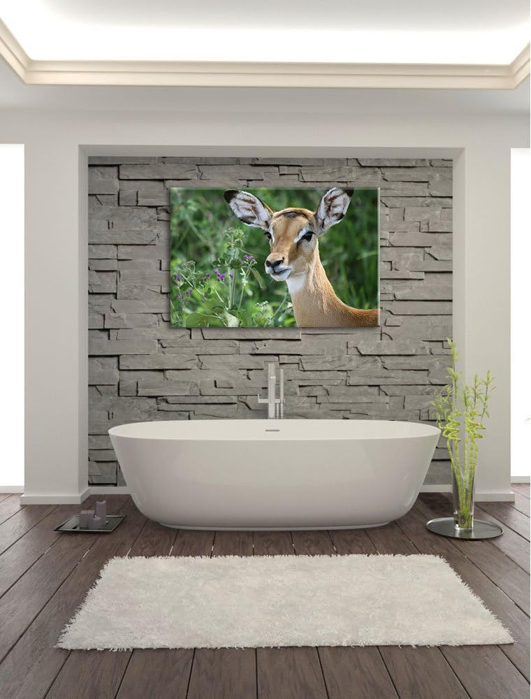 niedliches Reh vor hoher Wiese Leinwand, XXL riesige Bilder fertig gerahmt mit Keilrahmen, Kunstdruc