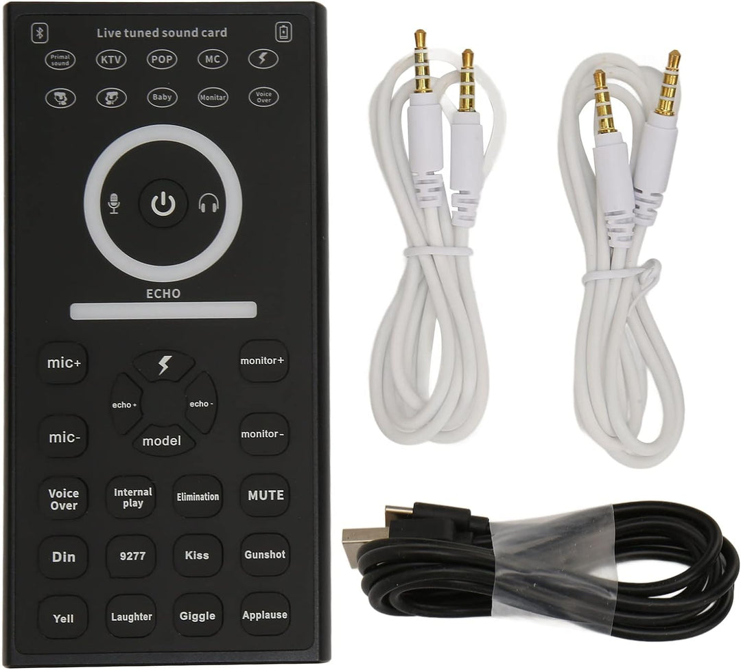 Voice Changer, Voice Disguiser für Erwachsene, Tragbares Voice Changer Gerät, Handmikrofon Voice Cha