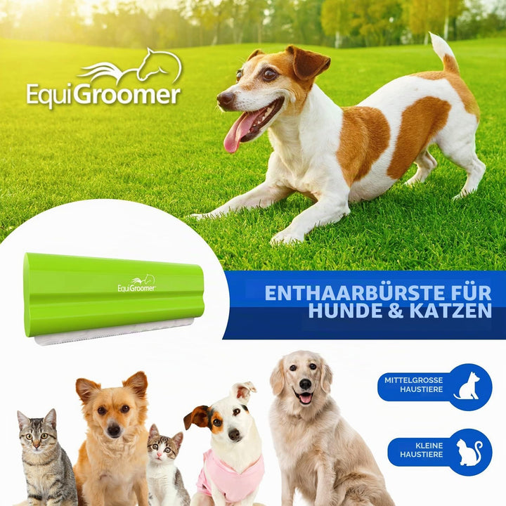 Equigroomer 5" (12,7cm) Farbe Lime Green, 5 Inch Lime Green