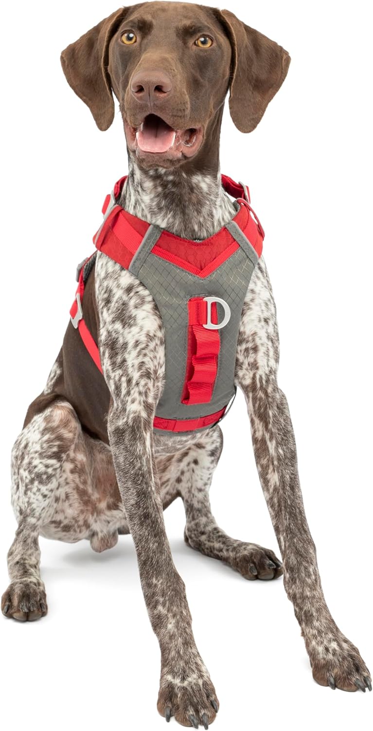 Kurgo Journey Air Hundegeschirr, Mit gepolstertem Brustteil und Rückgriff, Für Hunde von 11-23 kg, G
