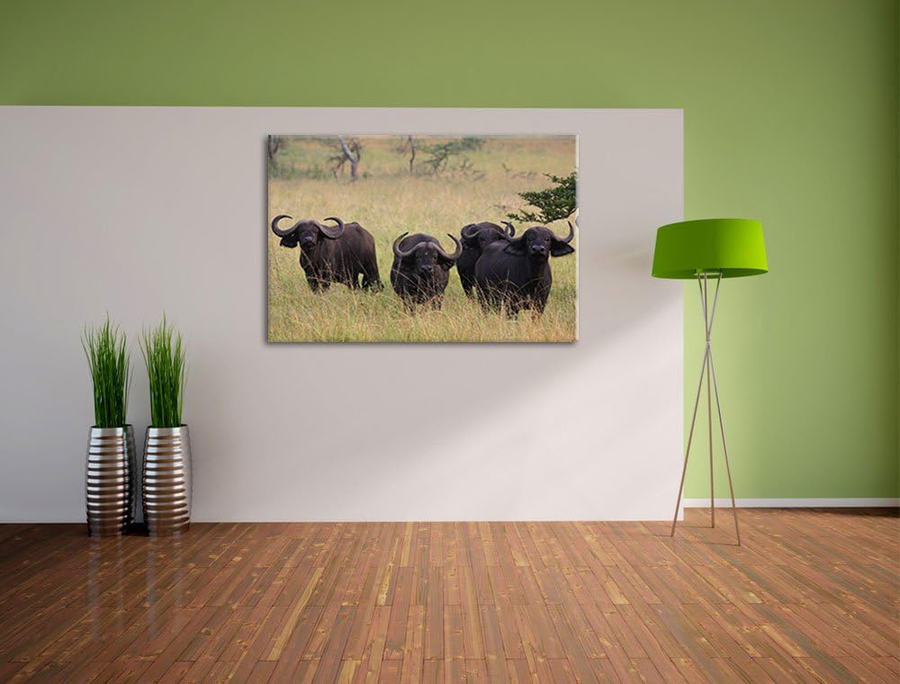 wachsame Kaffernbüffelherde Leinwand, XXL riesige Bilder fertig gerahmt mit Keilrahmen, Kunstdruck a