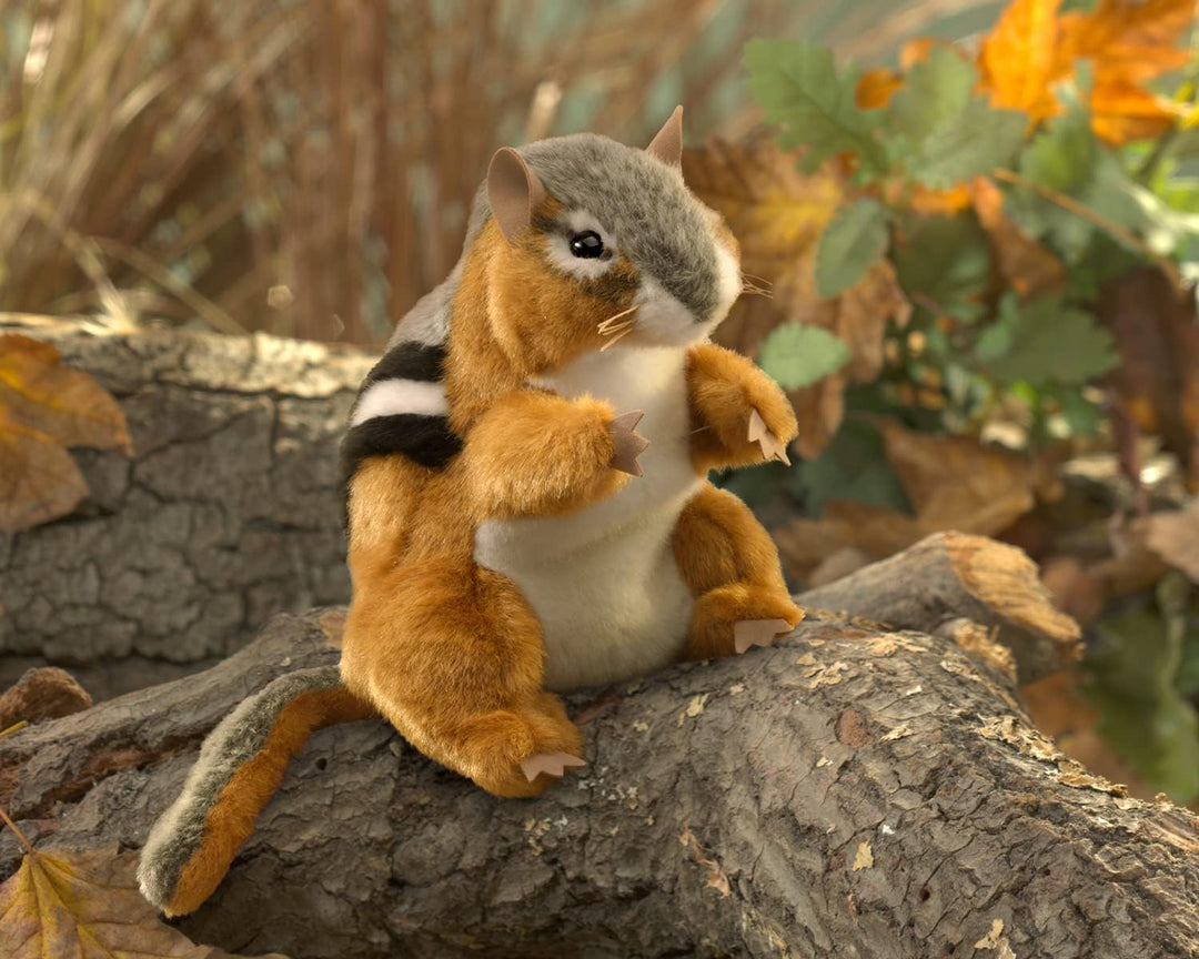 Streifenhörnchen/Chipmunk