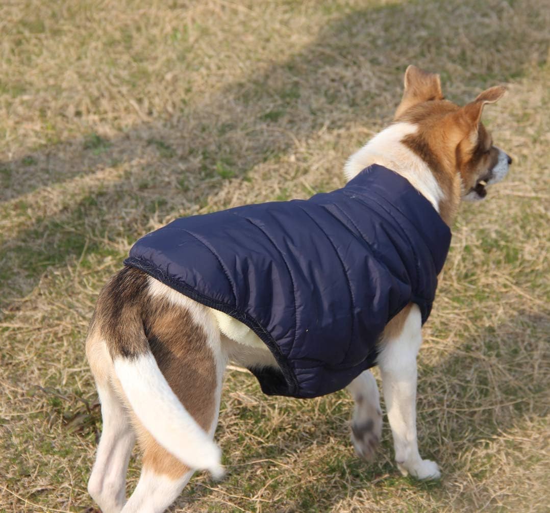 Mit Fleece gefütterte Hundejacke mit 2 Schichten von JoyDaog, sehr warm für den Winter und kaltes We