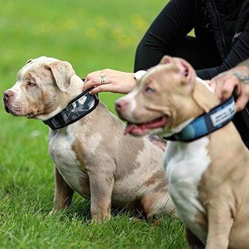 Bestia Dog Sport - Schnellverschlusshalsband XXL - Passform von 70 bis 85 cm, XXL - Passform von 70