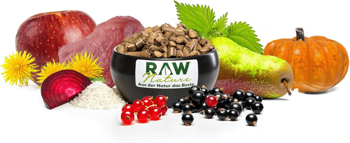 RAW Nature Trockenfutter Adult mit Ente 1kg, kaltgepresstes Hundefutter, Getreidefrei, 100% Muskelfl