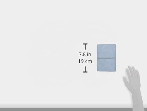 Filofax - Domino, persönliches Tagebuch, Farbe hellblau, hellblau, 2021, hellblau
