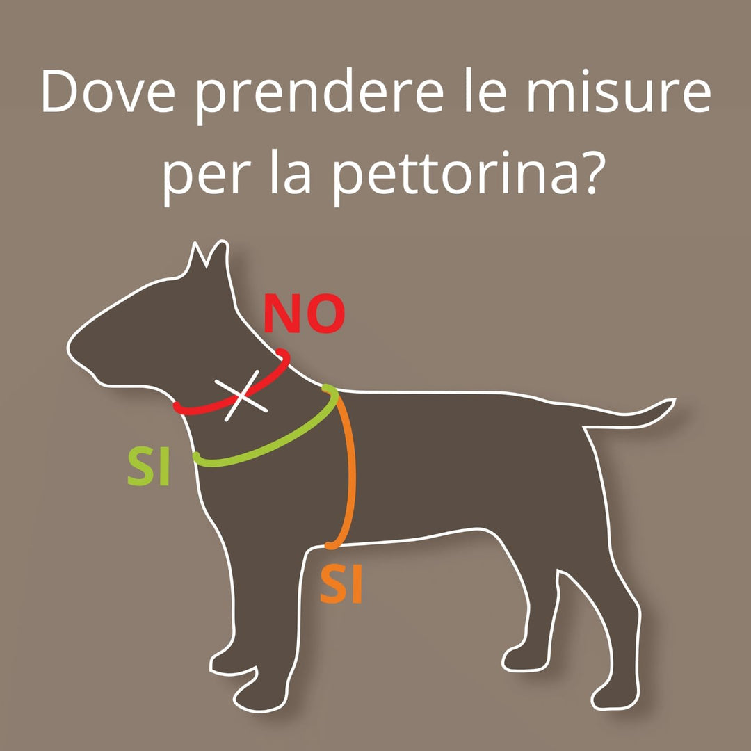Coralpina Fiames Hundegeschirr für Hunde, verstellbar, dynamische Bewegung, bequem, reflektierend, G