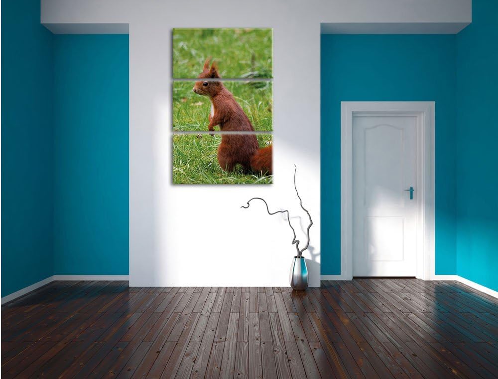 Pixxprint Eichhörnchen als Leinwandbild/Grösse: 3 Teilig (120x80) cm/Wandbild/Kunstdruck/fertig besp