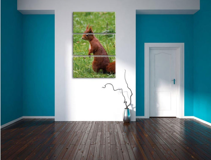 Pixxprint Eichhörnchen als Leinwandbild/Grösse: 3 Teilig (120x80) cm/Wandbild/Kunstdruck/fertig besp