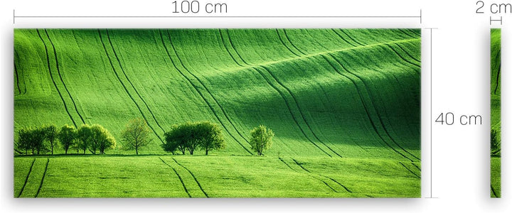 ge Bildet Bild auf Leinwand | Landschaftsbilder - green landscape - Tschechische Republik O in 100x4