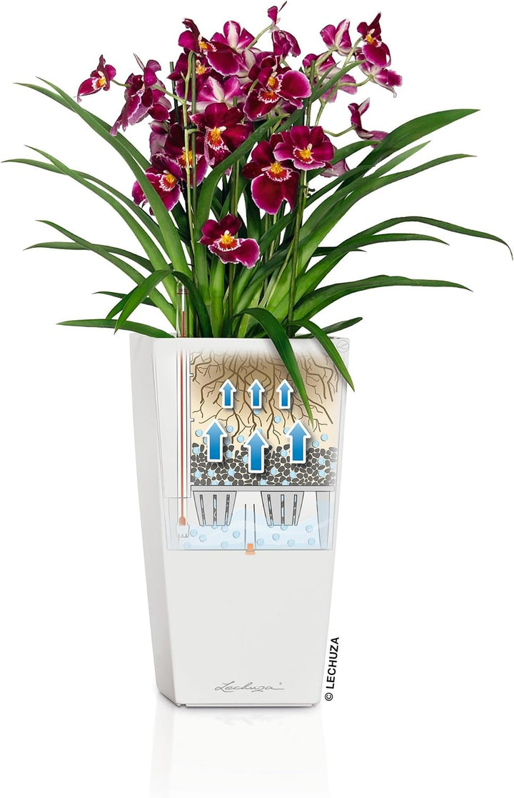 LECHUZA CUBICO Premium 40 weiss hochglanz 18191 39.5x39.5x75.5 cm Weiss Hochglanz, 39.5x39.5x75.5 cm