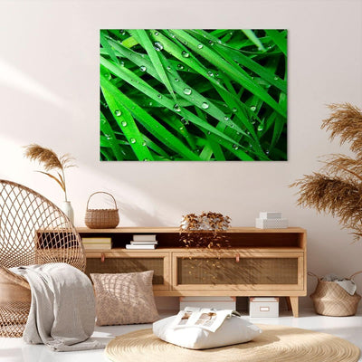 Bilder auf Leinwand 100x70cm Leinwandbild Natur Gras Wasser Tropfen Gross Wanddeko Bild Schlafzimmer