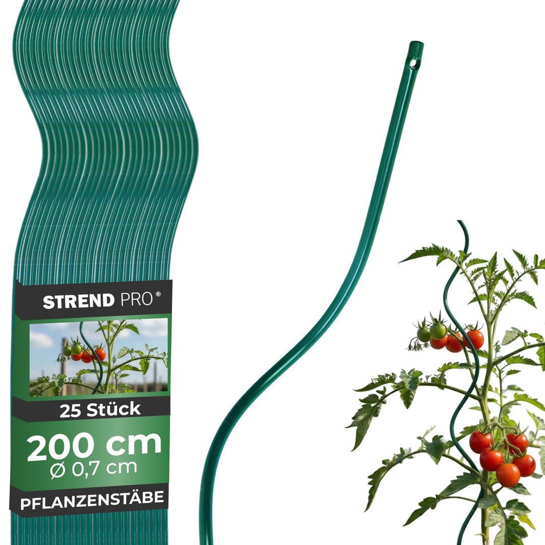 STREND PRO Tomatenstäbe 200 cm - 25 STK. | Spiralstab Ø 7 mm Verzinkter Stahl | Pflanzstab, Tomatens