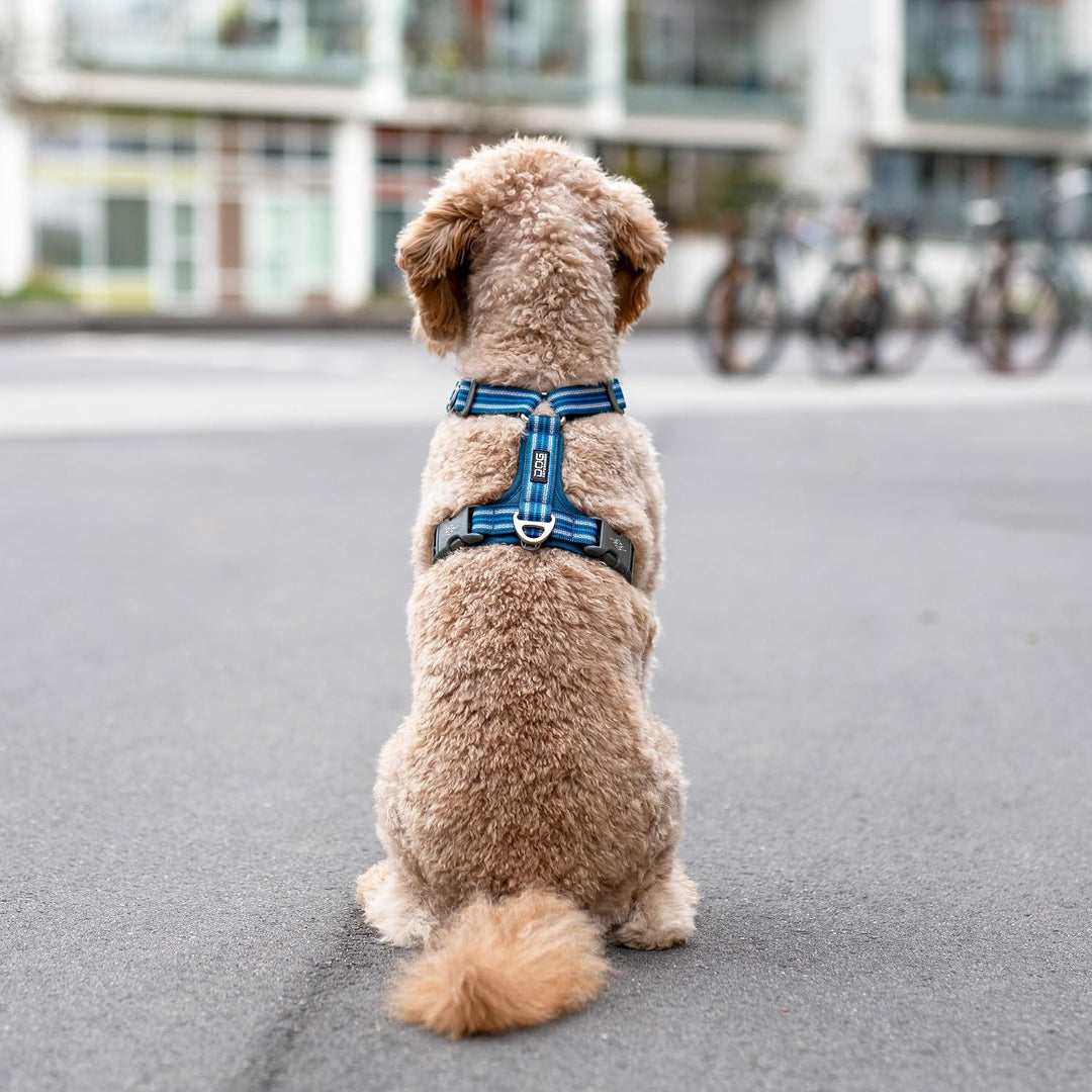 DOG Copenhagen Comfort Walk Air 3.0 Hundegeschirr, Wild Rose, S S Wild Rose, S Wild Rose