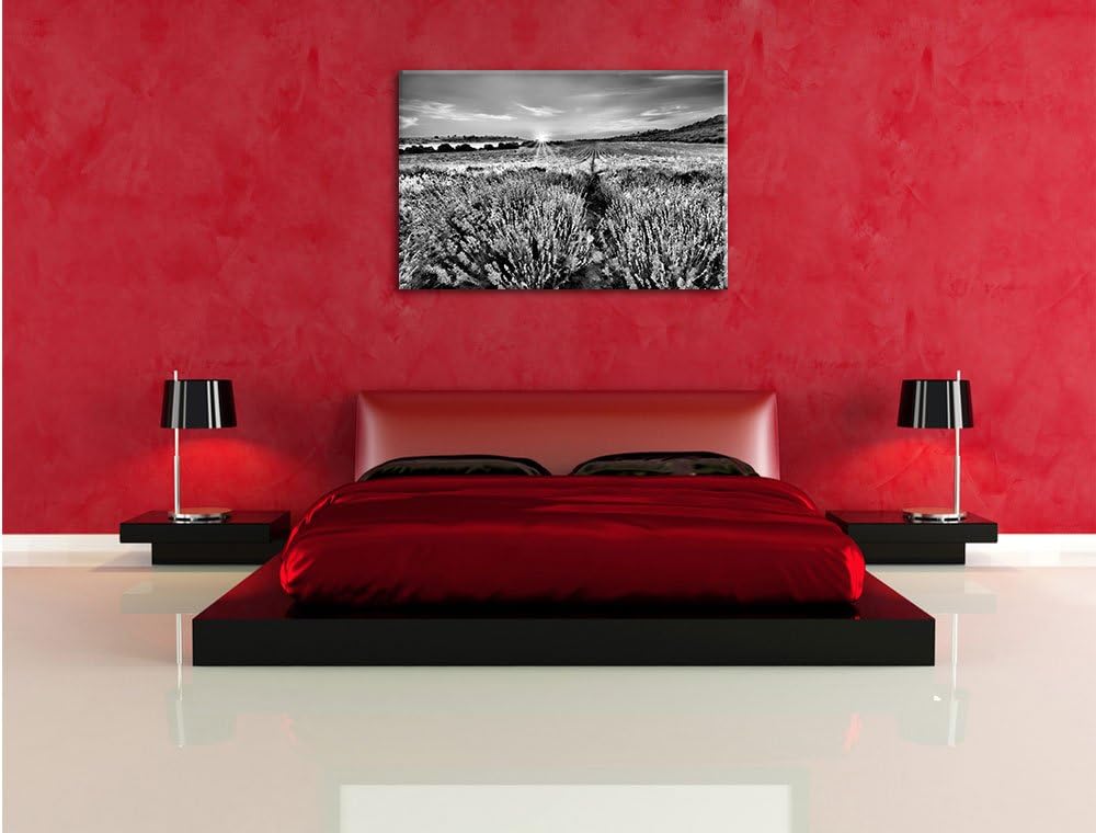 Pixxprint Lavendelfeld in Frankreich als Leinwandbild/Grösse: 100x70 / Wandbild/Kunstdruck/fertig be