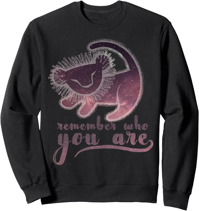 Disney The Lion King Cave Painting Remember Who You Are Sweatshirt