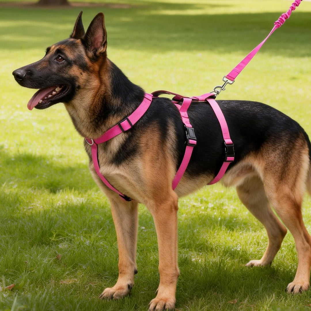 Hundegeschirr Ausbruchsicher, Anti Zug Sicherheitsgeschirr Hund, Verstellbare Brustgeschirr mit Grif