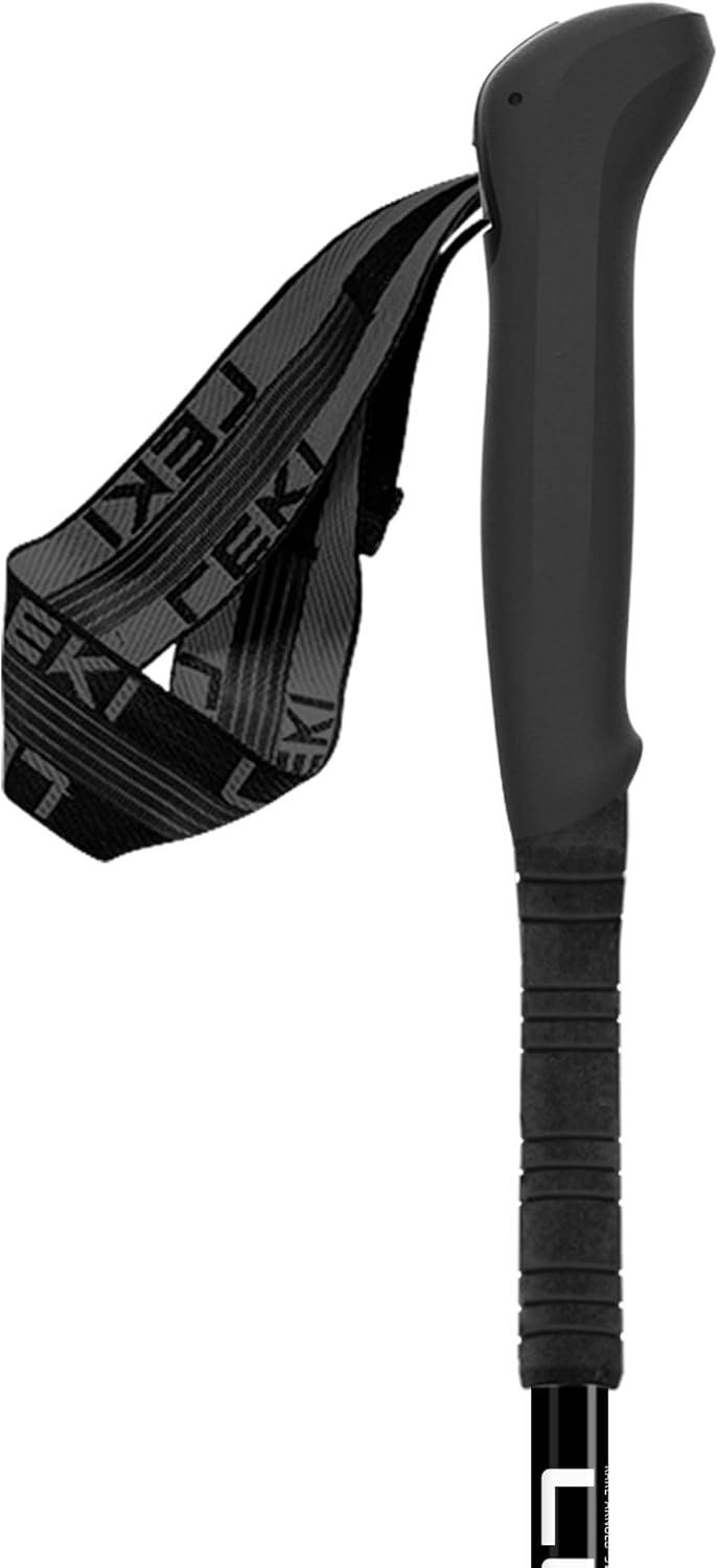 LEKI SKYTERA FX Carbon * 110 - 120 cm, 110 - 120 cm