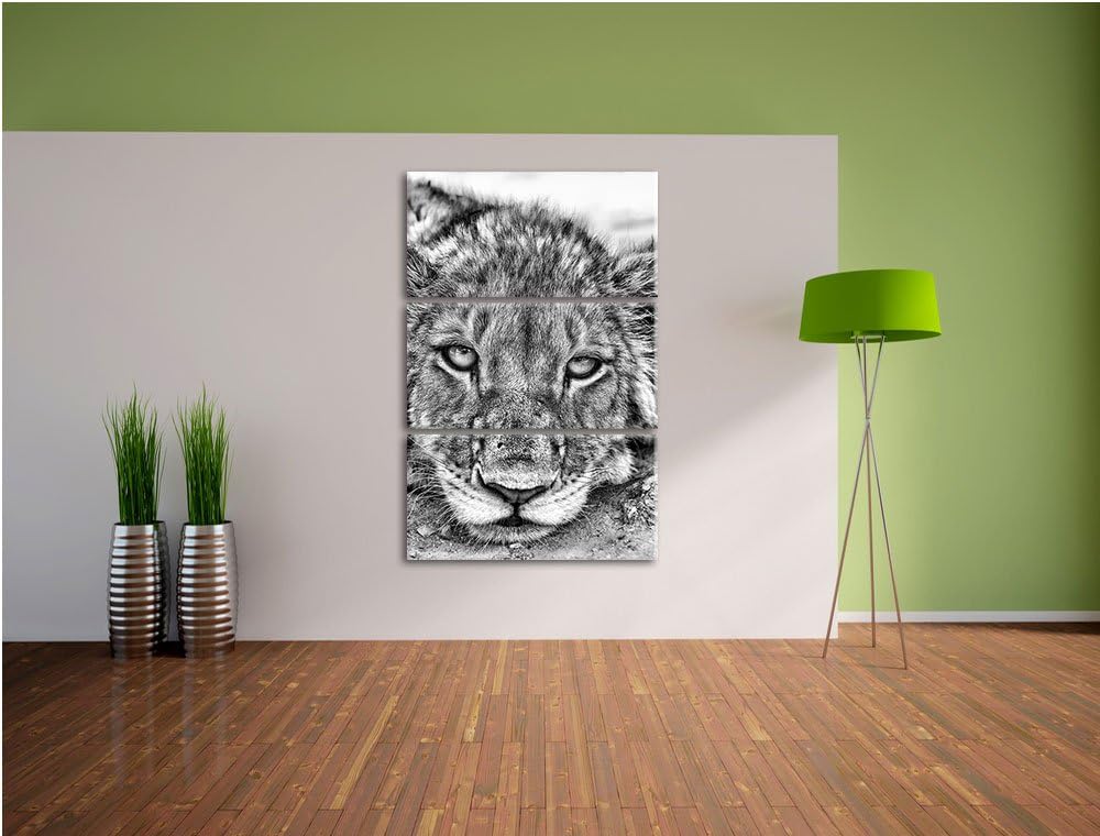 Pixxprint Monocrome, wachsame Löwin 3-Teiler Leinwandbild 120x80 Bild auf Leinwand