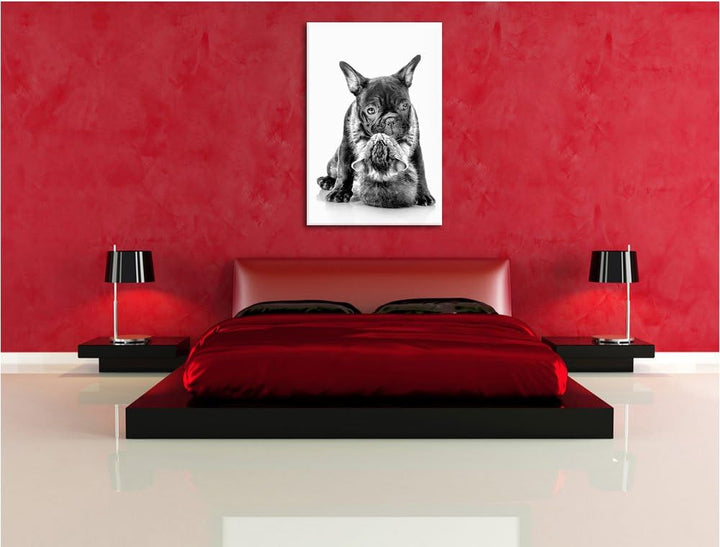 Pixxprint Monocrome, Katze und Mobs Freunde fürs Leben, Format: 100x70 auf Leinwand, 100x70