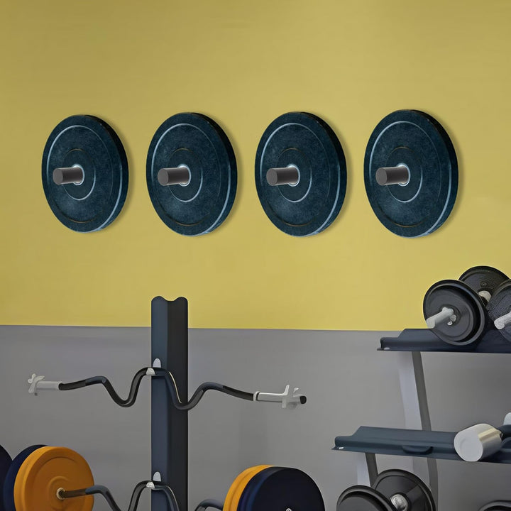 4 Stück Hantelscheibenständer, Hantelscheiben Halterung Wandmontage bis 80kg, aus Legierter Stahl, s