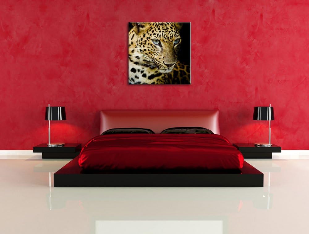 Leopard mit blauen Augen, Format: 70x70 auf Leinwand, XXL riesige Bilder fertig gerahmt mit Keilrahm