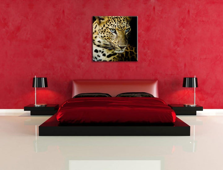 Leopard mit blauen Augen, Format: 70x70 auf Leinwand, XXL riesige Bilder fertig gerahmt mit Keilrahm