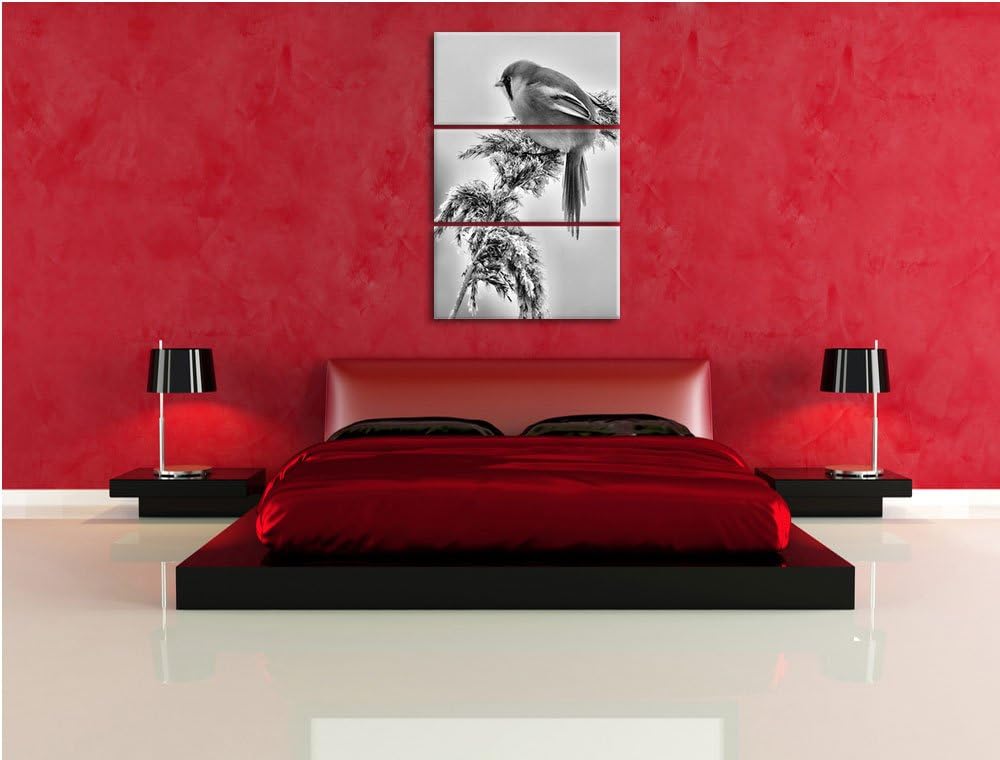 Pixxprint Vogel auf Weizen im Winter als Leinwandbild/Grösse: 3 Teilig (120x80) cm/Wandbild/Kunstdru
