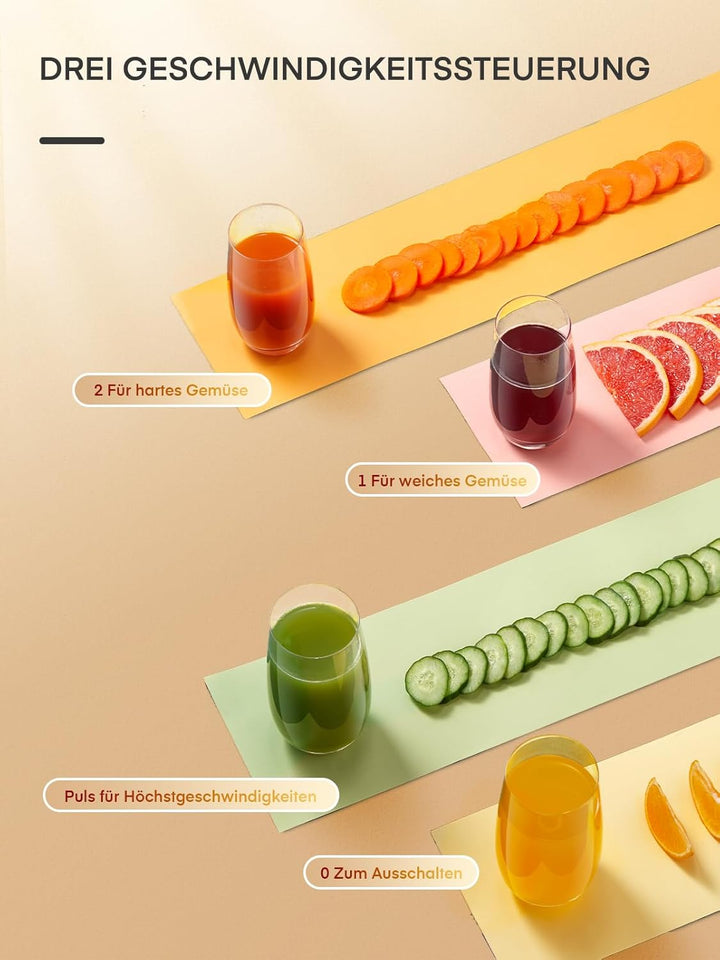 JUILIST Entsafter Gemüse und Obst, 65 mm Einfüllschacht, 3 Einstellungen, Mit Reinigungsbürste, Leic