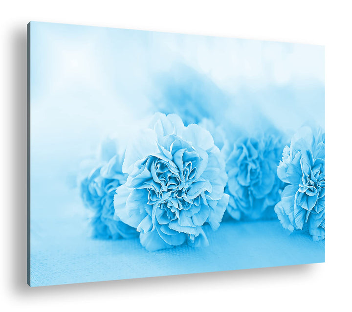 deyoli rosafarbene Nelken Format 80x60 Effekt: Monocrome Blau als Leinwandbild, Motiv fertig gerahmt