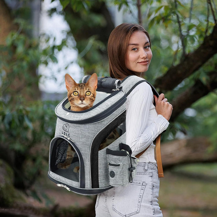 PETCUTE Hunderucksack Kleine Hunde,Atmungsaktiv Hundetragetasche mit Internem Sicherheitsgurt,Verste